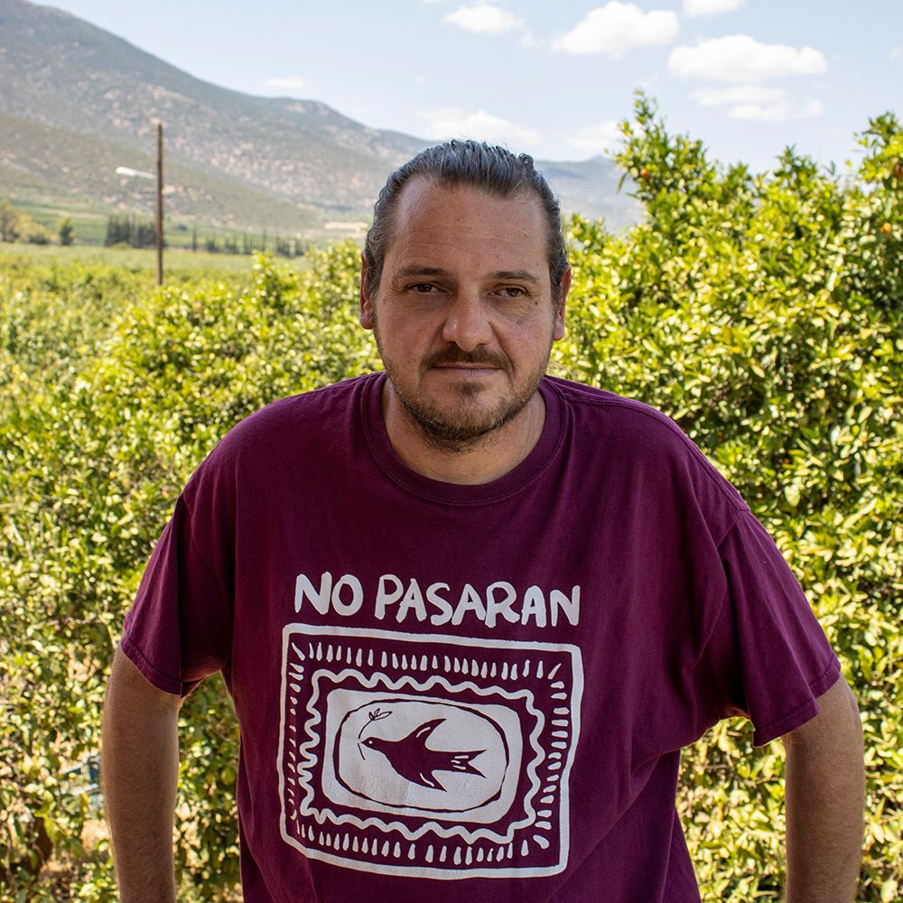 Αλέξανδρος Τζερεφός