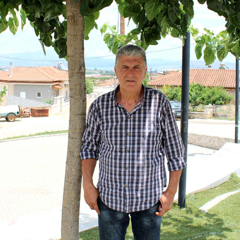 Ηλίας Λιαγκριδώνης